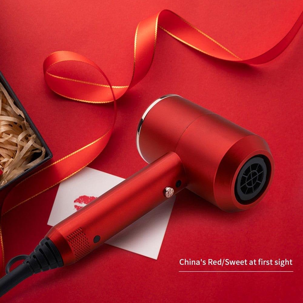 Hair Dryer Household Hammer Hair Dryer Hair Salon High Power Hair Dryer Hotel 110v Small Appliances - CLAUALIS HAIR COUTURE